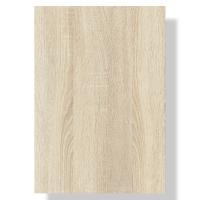 transparent-Photoroom - 2026-01-20T110247.275