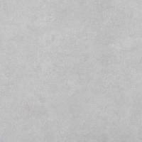 stoleshnitsa_kedr_2946_r_galiya