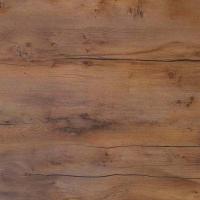 stoleshnitsa_kedr_7053_fl_taksus