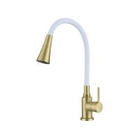 transparent-Photoroom - 2026-01-23T084953.074