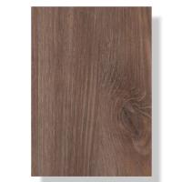 transparent-Photoroom - 2025-12-02T142245.969