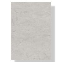 transparent-Photoroom - 2026-01-20T110040.658