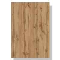 transparent-Photoroom - 2026-01-12T150009.185