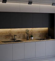 dub-shtubai-i2-600x675