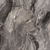 Паладина темная 1