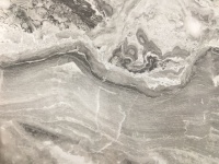 Паладина светлая глянец