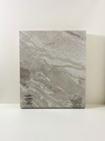 Паладина светлая 3