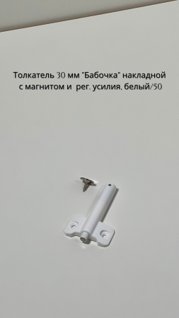 бабочка белы